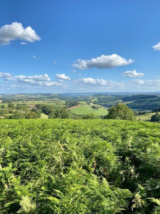 The Mill Stylish Rural Apartment With Beautiful Views Welsh Newton Common Exterior foto
